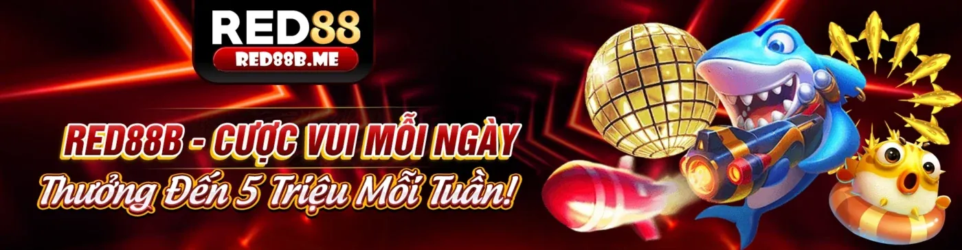 Hình ảnh đại diện Điều khoản Dịch vụ 888neu đăng nhập