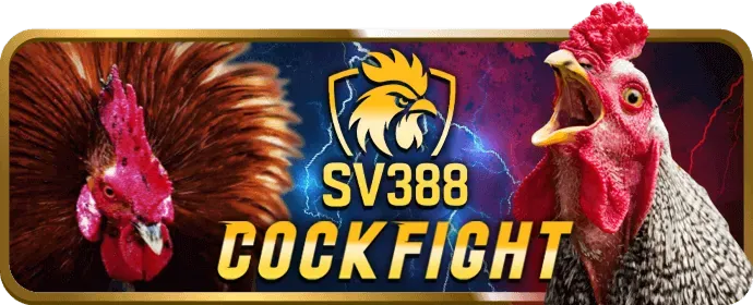 Đá Gà Cựa Dao 888neu